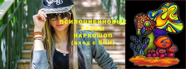 тгк Арсеньев