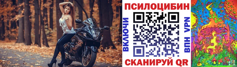 цена   Карабулак  нарко площадка Telegram  Псилоцибиновые грибы ЛСД 