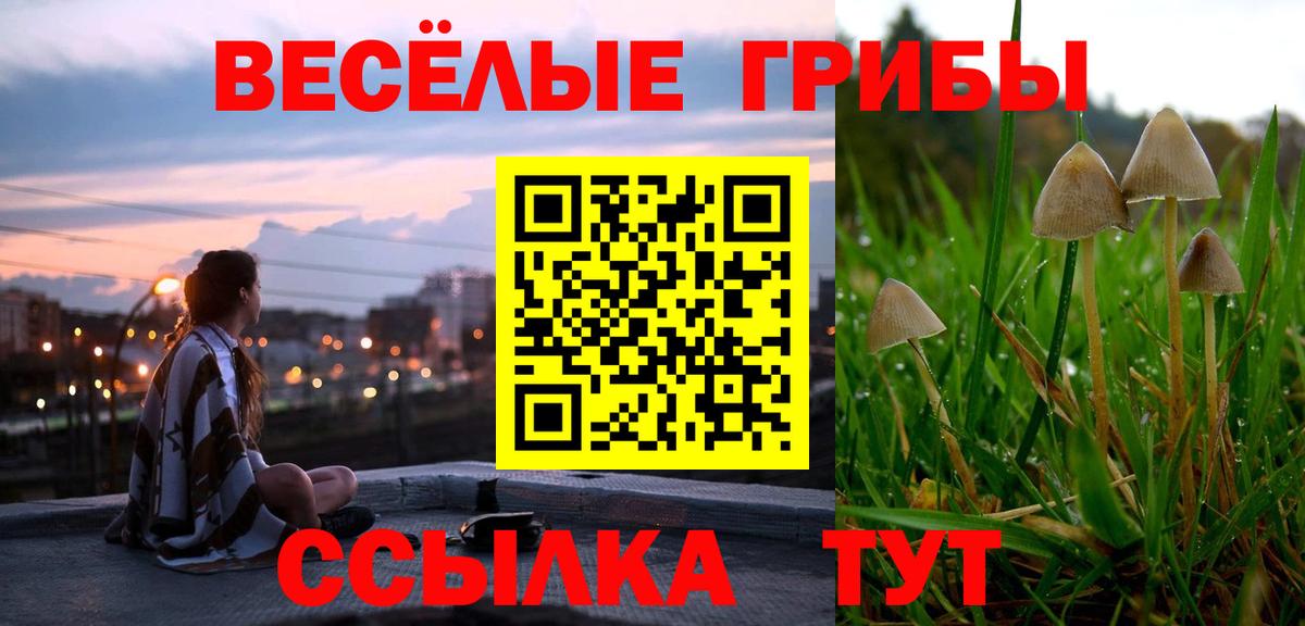 Карабулак  Псилоцибиновые грибы Psilocybine cubensis  Вход с VPN 